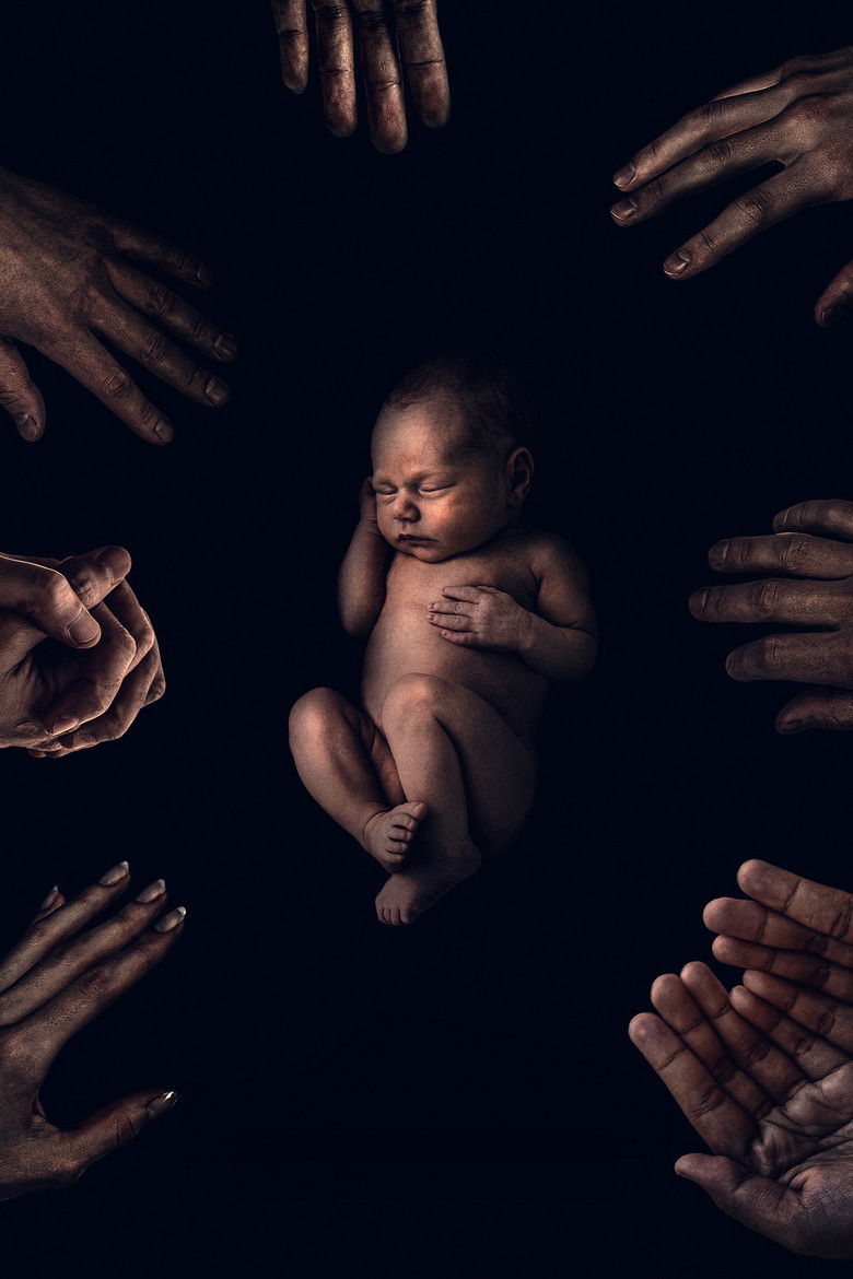 Imatge de The King Tide