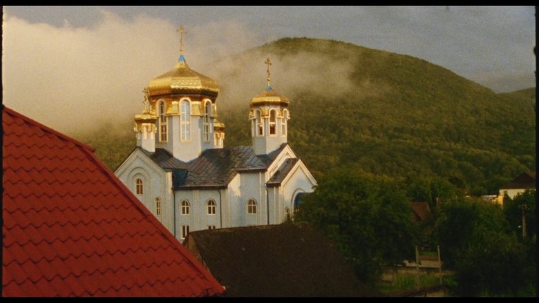 Image 19