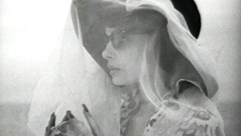 The Houseguest main backdrop