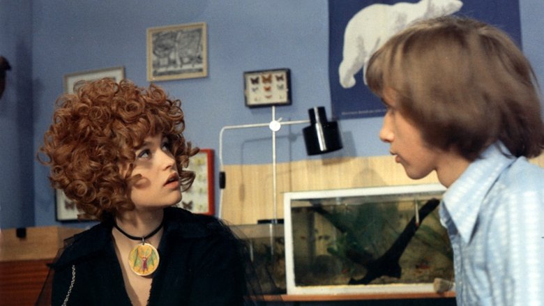 The Girl on the Broomstick (1972)