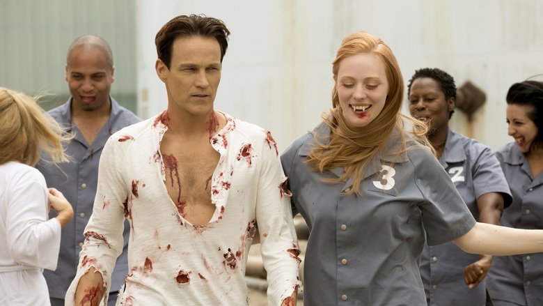 true blood season 3 watch online free true blood season 3 watch online free