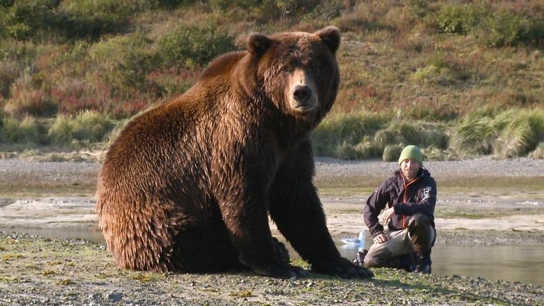 Der Bär in mir (2019)