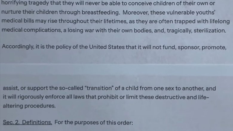 The Victims (or 100 and some days in MAGA America) (2025)