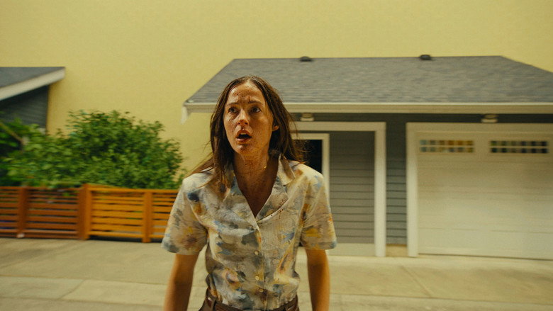 Backdrop