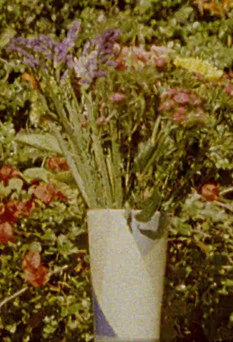 Flower Sun Mountain Vase background