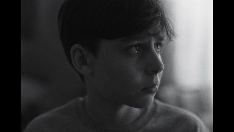 Gallery image from lRhGYrHITpVx3IKjPkx6vmvaTQz.jpg