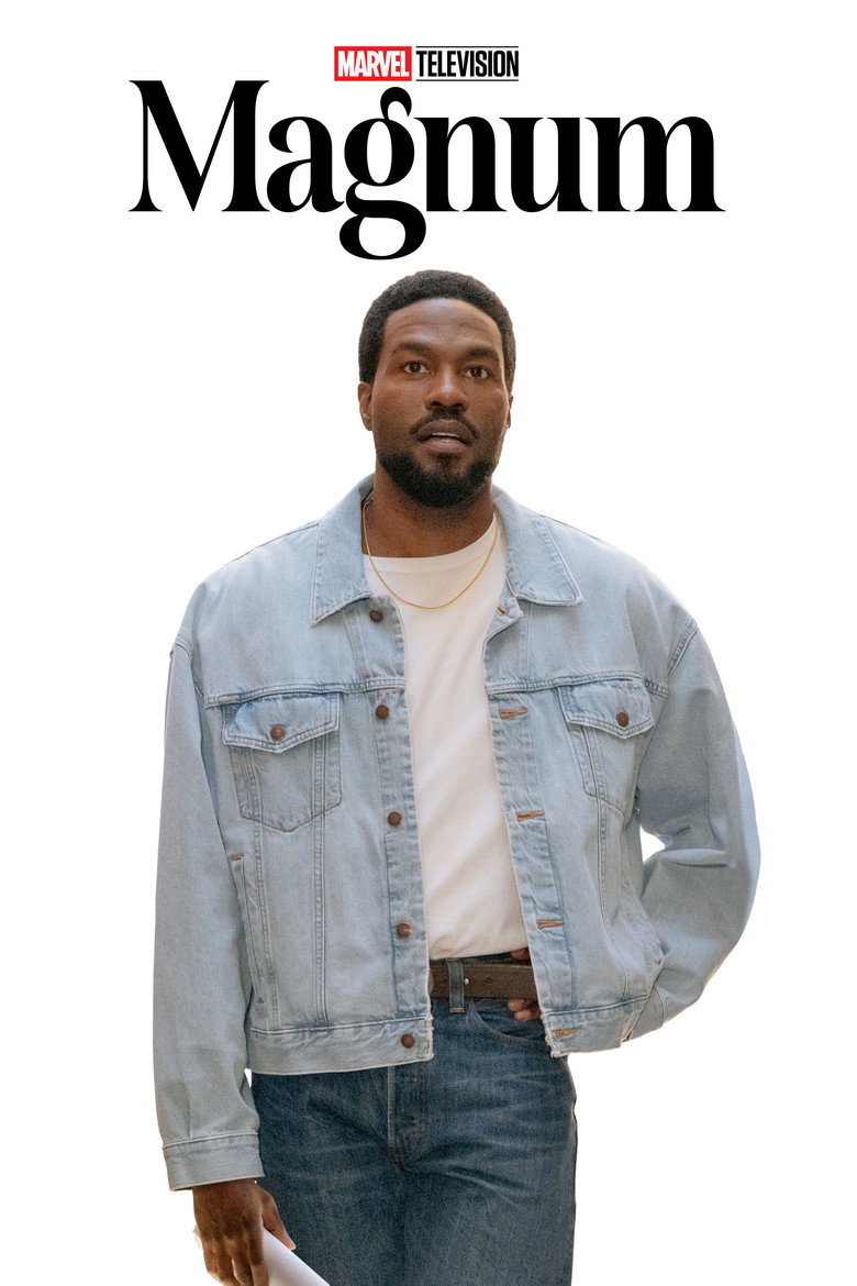 Póster la Serie