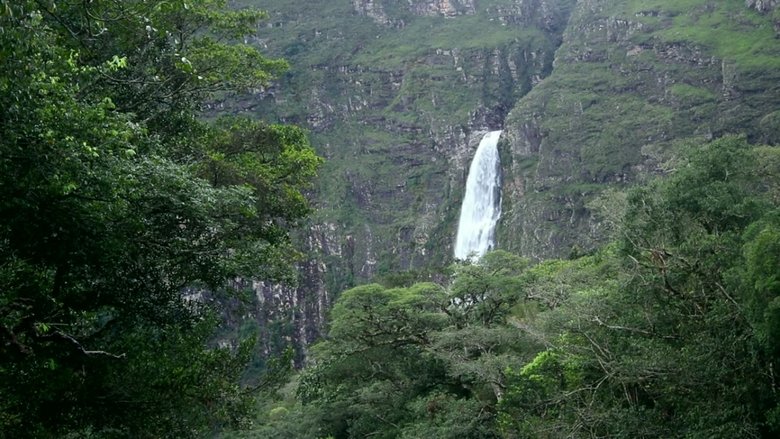Os Naturalistas: Saint-Hilaire e a Serra da Canastra poster