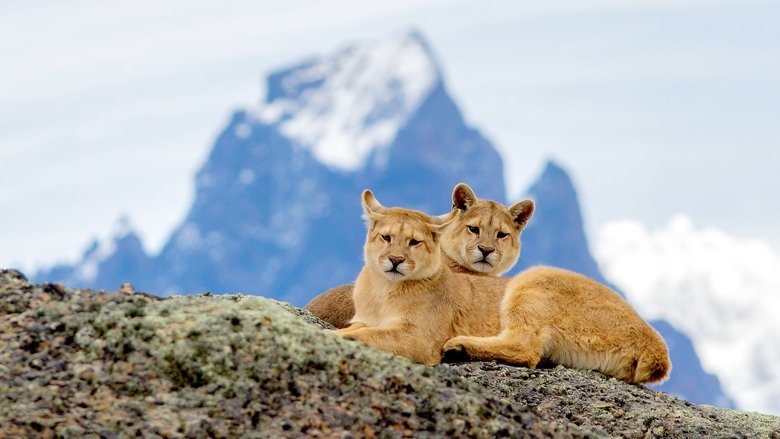 Still image for Patagonia: Earth's Secret Paradise season 1 episode 1: Fire and Ice