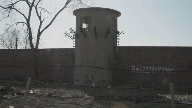 Forced Labour: SOS from a Chinese Prisoner (2023)