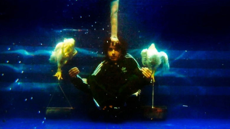 Gallery image from lUNPJj7fn87ZFPIpHT02cTUKBXh.jpg