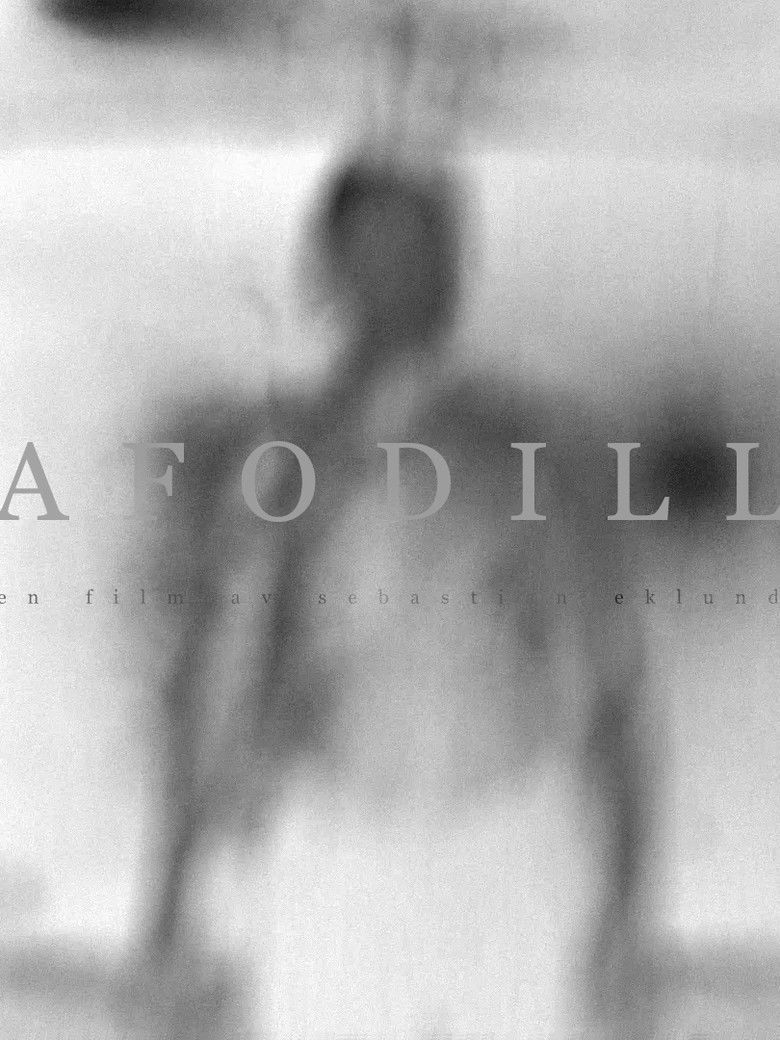 Afodill poster