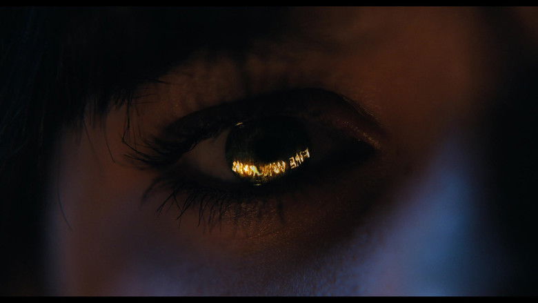 Gallery image from lUY5tEn537t2T5l9B3pp8pqoRxB.jpg