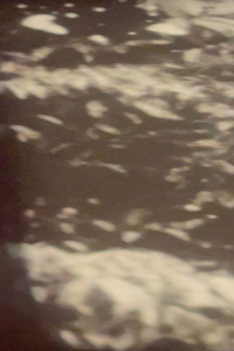 Imatge de Plotting the Grey Scale: 2 or 3 Quick Traverses