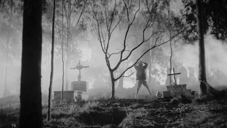 Image d'arrière-plan 12 du film Les Mystères d'outre tombe