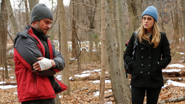 Manifest Saison 3 épisode 13 Série Manifest Saison 1 épisode 13 en streaming VF et VOSTFR gratuit