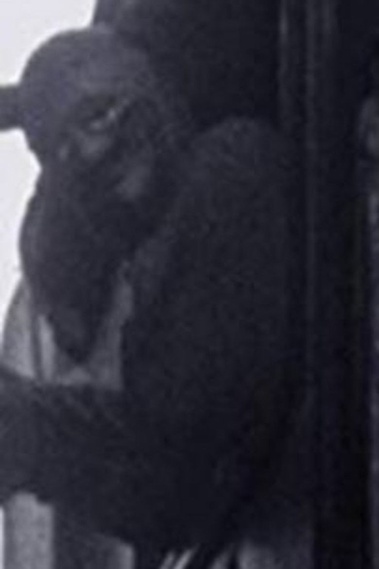 Imatge de Hell-Bound Train