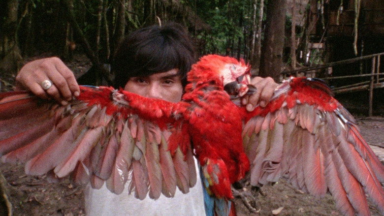 Image d'arrière-plan 12 du film Burden of Dreams