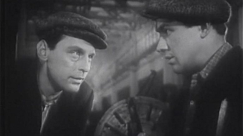 Дело пёстрых