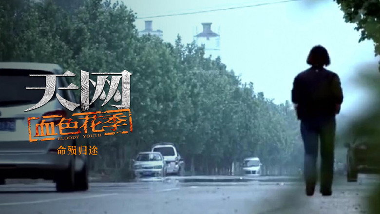 天网: 8×1