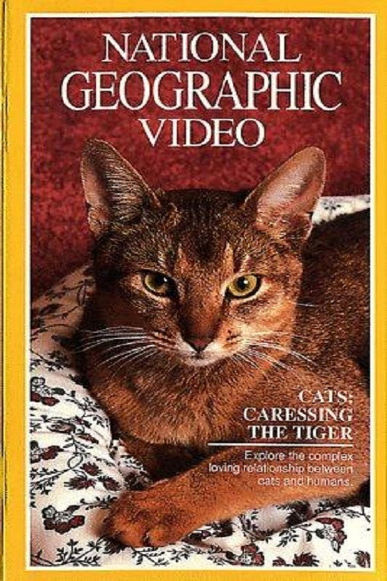 Imatge de Cats: Caressing The Tiger