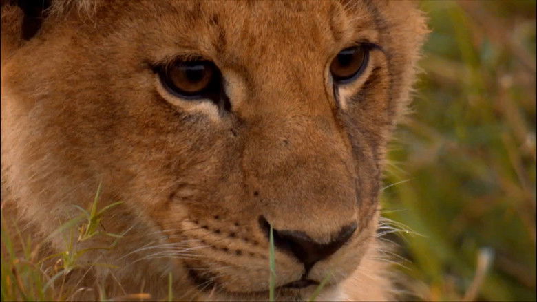 Gallery image from lYrHBL5PBlUR5szRXJ7ztOX6OHY.jpg