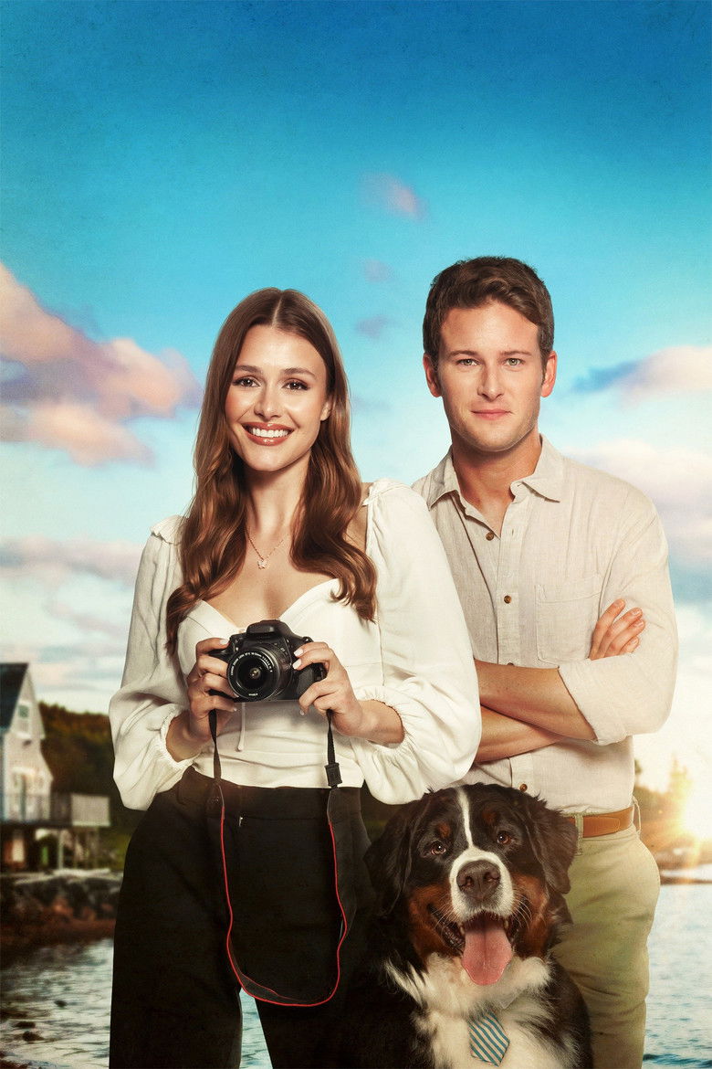 Imatge de Picture Perfect Romance