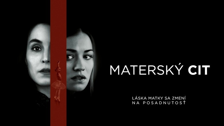 Gallery image from lZLKk8Yzjfw61NVQjjH3OmeIyEj.jpg