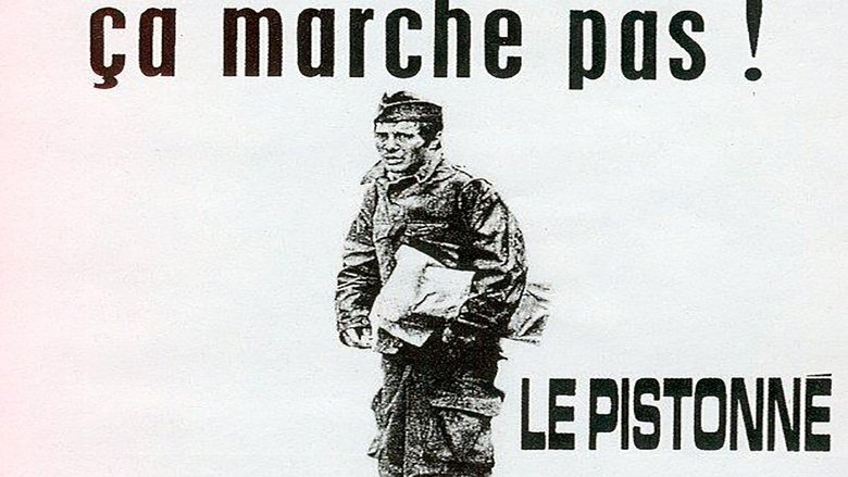 Gallery image from lZdgLQJ0IH6LDdJnj66UcLiIa4b.jpg