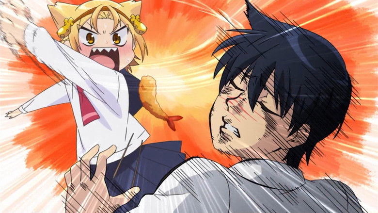 Still image for Yatogame-chan Kansatsu Nikki season 1 episode 1: Beginning Still image for Yatogame-chan Kansatsu Nikki season 1 episode 1: Beginning