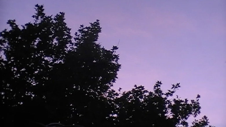 Imatge de Towards The Night