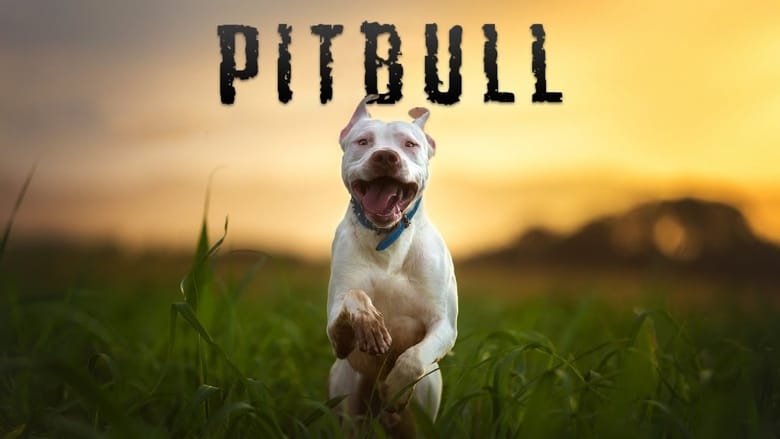 Pitbull movie poster