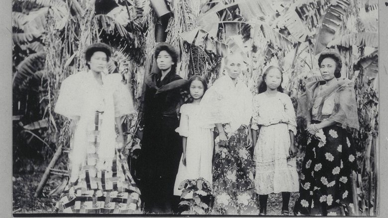 Gallery image from lb2rvHVX2IOon5xrPrByiaTIWVW.jpg