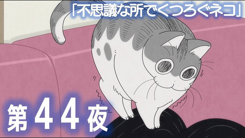 Still image for Nights with a Cat season 1 episode 44: Night 44: A Cat Resting in a Strange Spot