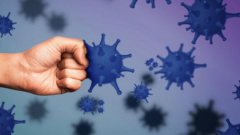 The Immune System: Guardian of Our Health