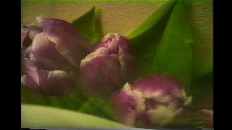 Gallery image from lcLMpsiQ2OQNzho3bQx0rnqKrqg.jpg