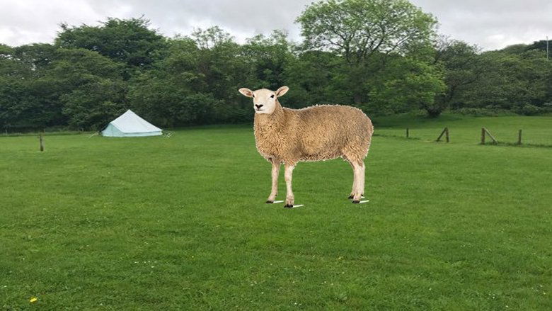 Dai+the+Sheep
