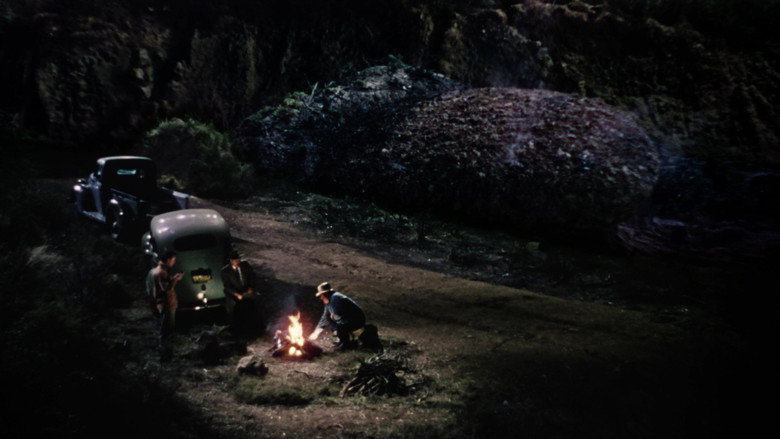 scenes 41