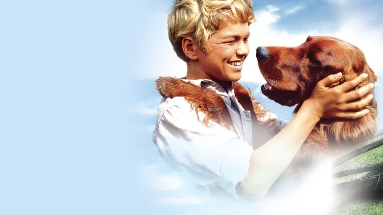 Gallery image from ldsbmPmLjvyogkYytJw4OtxP5r4.jpg