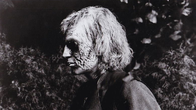 Image d'arrière-plan 4 du film And Now the Screaming Starts!