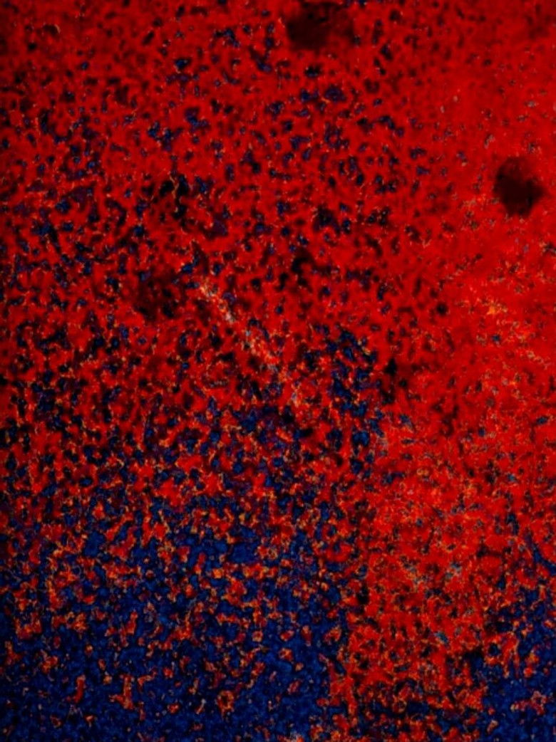 Imatge de Tabula Smaragdina