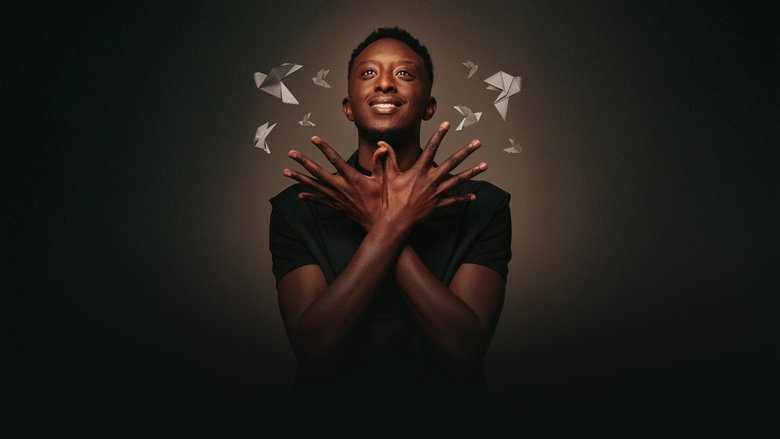 Ahmed Sylla : Origami main backdrop