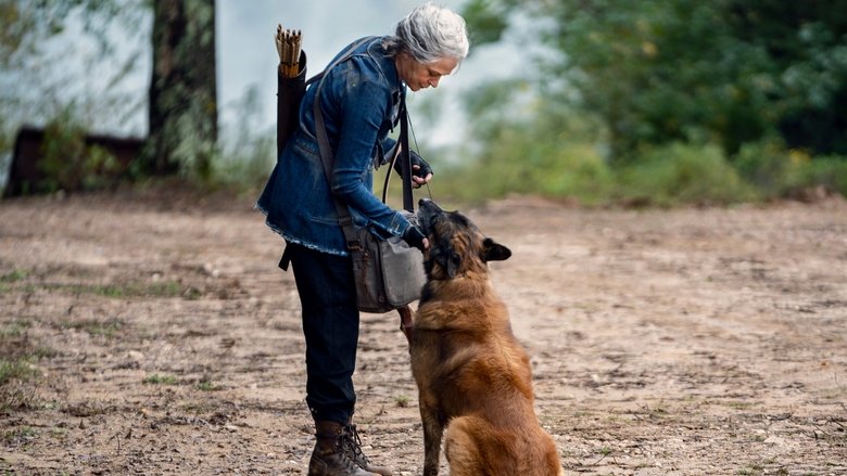 French Streaming Walking Dead Saison 10 The Walking Dead Saison 10 episode 18 VF - French Stream