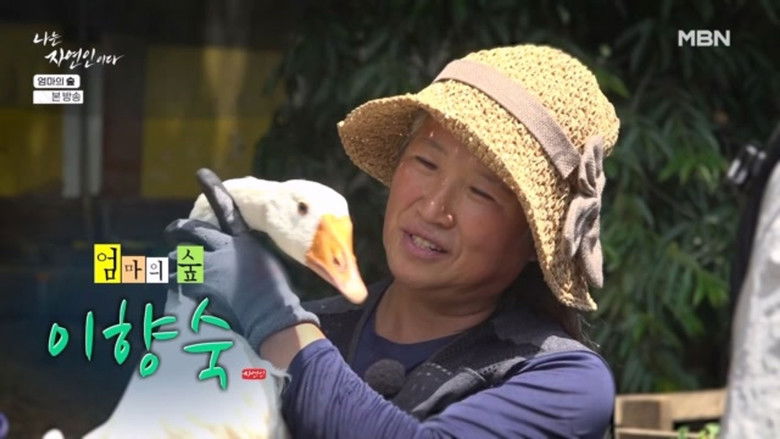 Still image for Into the Wilderness season 1 episode 667: Episode 667 Still image for Into the Wilderness season 1 episode 667: Episode 667