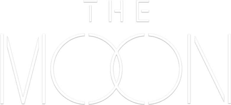 Imagen de The Moon: Sobreviviente
