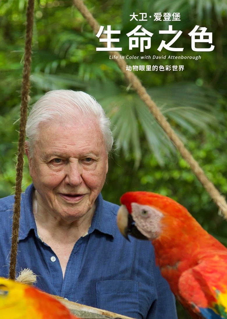 生命之色 (2021)-光鸭·臻影社