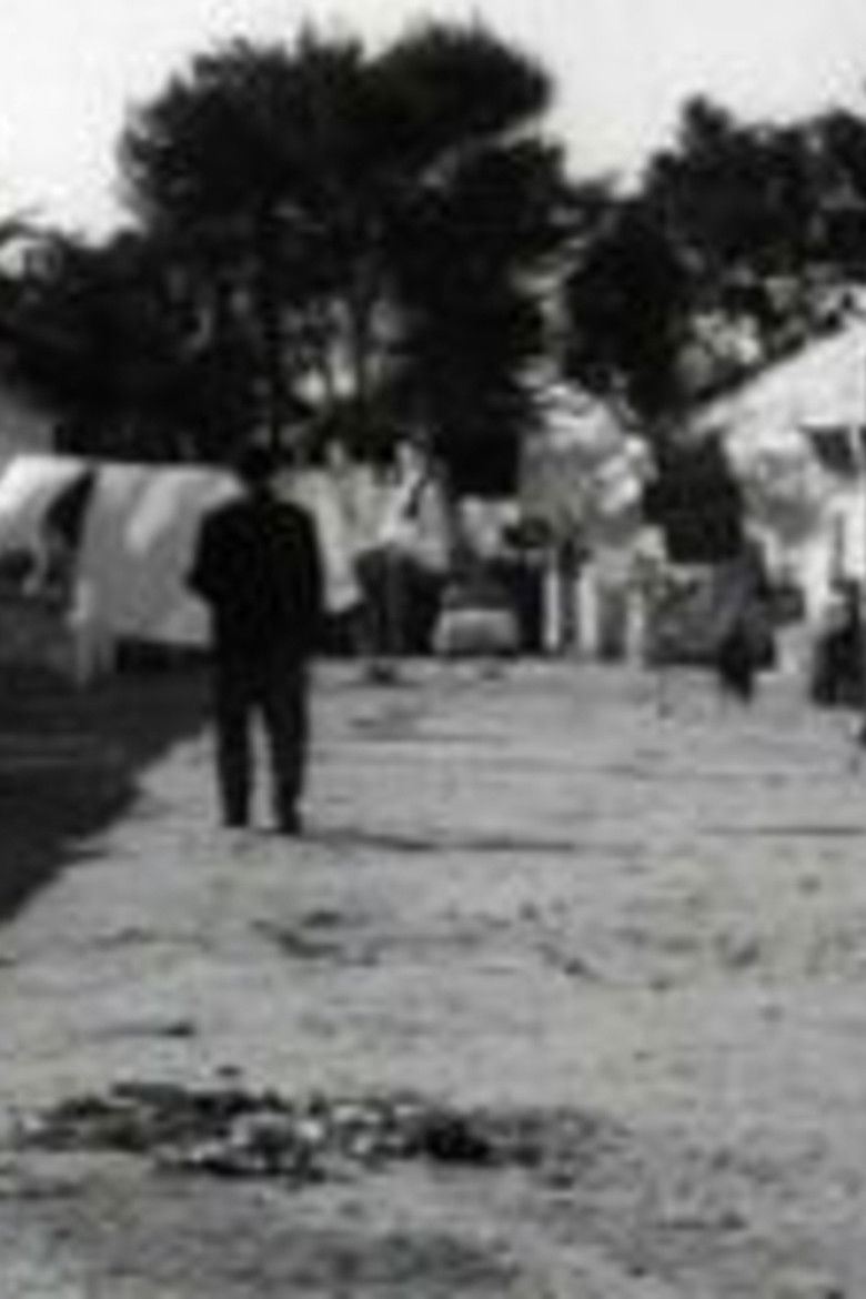 Imatge de Brindisi '65