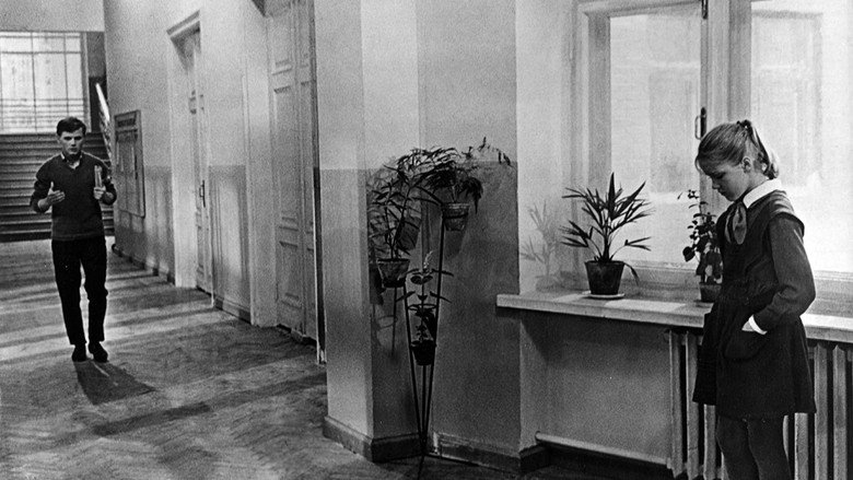 Gallery image from lhngHxG3uKWIAmm7yYPBFaA72kA.jpg