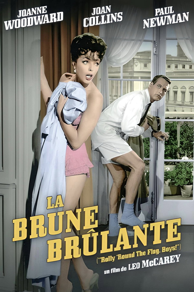 Affiche de LA BRUNE BRÛLANTE