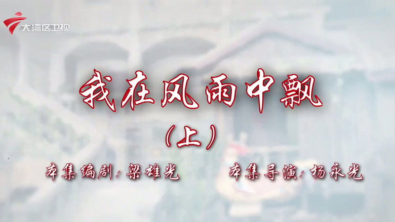 Episode 29